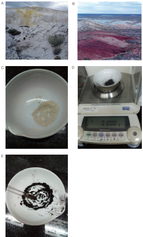 (A) y (B) Ejemplos de las fuentes de minerales blanco y rojo de La María; (C)
Mineral blanco luego de la molienda, (D) Pesaje en balanza analítica del pigmento negro;
(E) Proceso de molienda de la carbonilla.